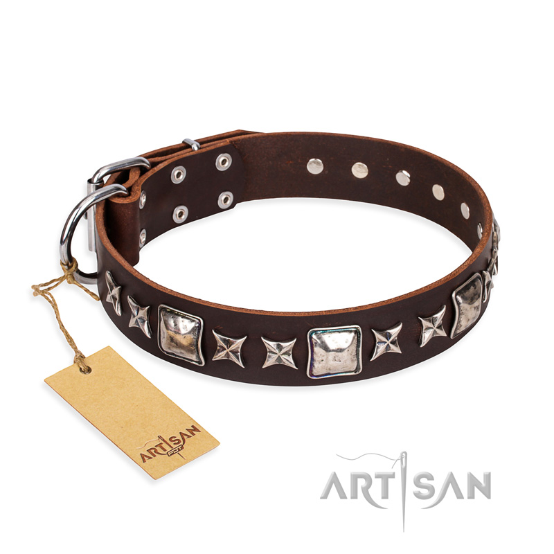 "Perfect Impression" FDT Artisan Brown Leather Riesenschnauzer Collar with Silvery Square Studs