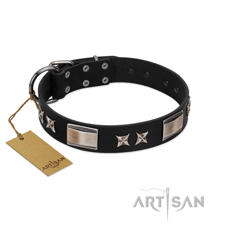 "Pitch Dark" FDT Artisan Black Leather Riesenschnauzer Collar with Stars and Plates