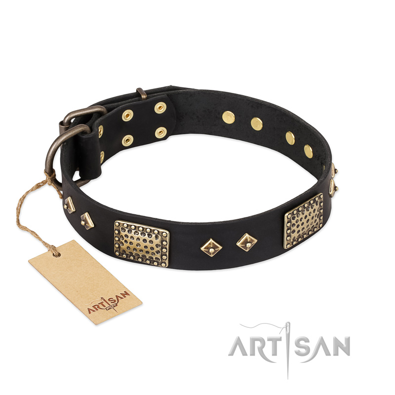 "Jewel Passion" FDT Artisan Fashionable Black Leather Riesenschnauzer Collar