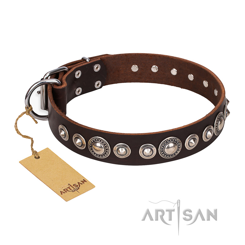 "Step and Sparkle" FDT Artisan Glamorous Studded Brown Leather Riesenschnauzer Collar