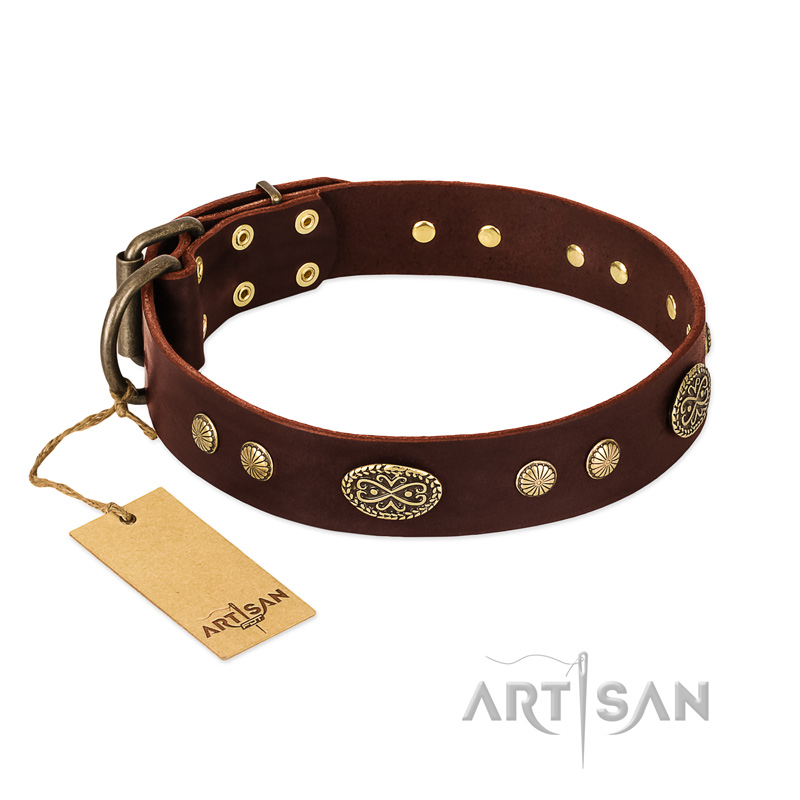 "Old-fashioned Glamor" FDT Artisan Brown Leather Riesenschnauzer Collar with Old Bronze Look Plates and Circles