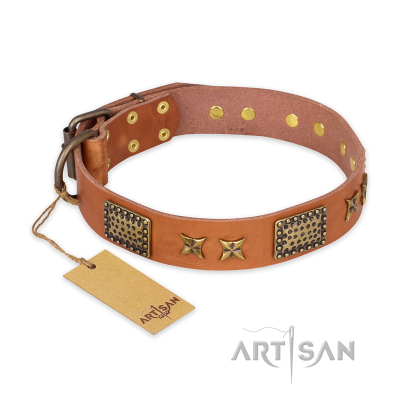 "Cosmic Traveller" FDT Artisan Adorned Leather Riesenschnauzer Collar with Old Bronze-Plated Stars and Plates