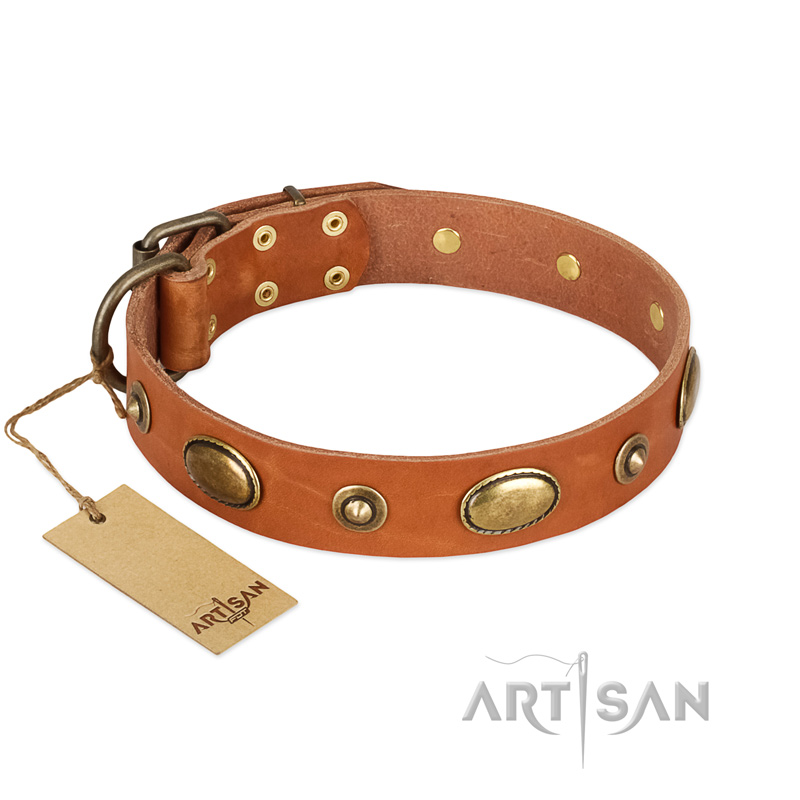 "Visual Magic" FDT Artisan Tan Leather Riesenschnauzer Collar for Daily Activities