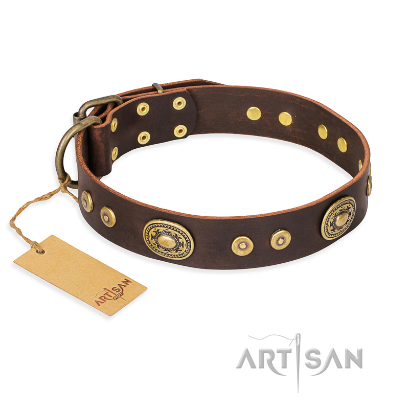 "One-of-a-Kind" FDT Artisan Handmade Decorated Brown Leather Riesenschnauzer Collar