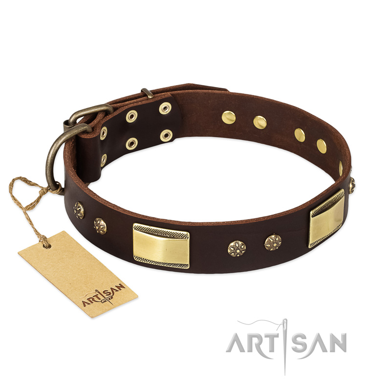"Rich Fashion" FDT Artisan Decorated Leather Riesenschnauzer Collar with Plates and Studs