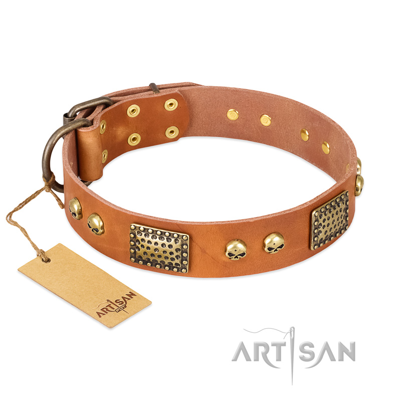 "Saucy Nature" FDT Artisan Tan Leather Riesenschnauzer Collar with Old Bronze Look Plates and Skulls