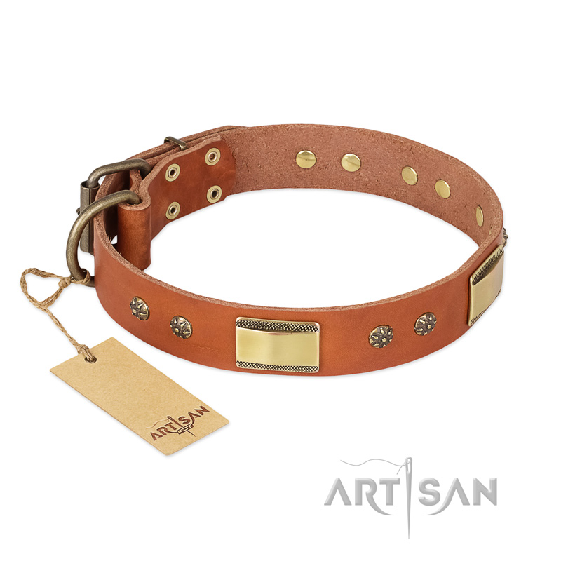"Enchanting Spectacle" FDT Artisan Tan Leather Riesenschnauzer Collar with Old Bronze Look Plates and Round Studs