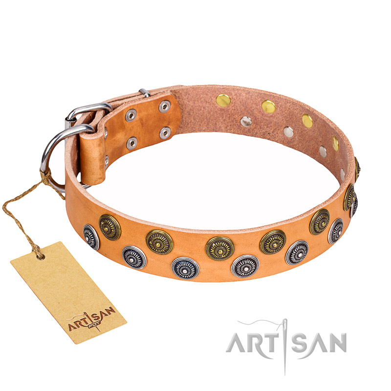 "Precious Sparkle" FDT Artisan Handcrafted Tan Leather Riesenschnauzer Collar