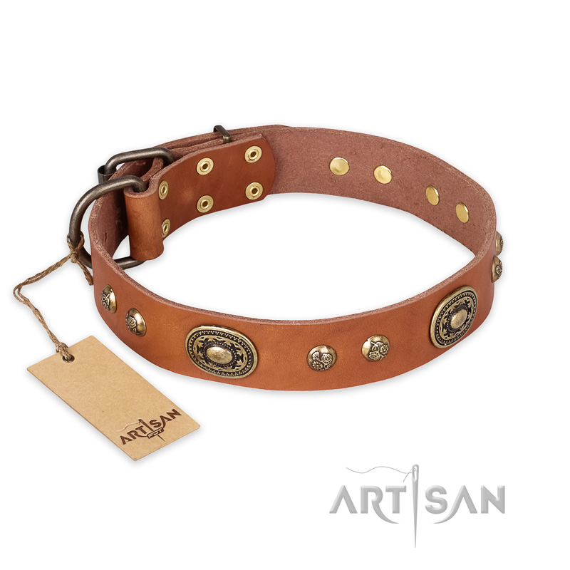 "Stunning Dress" FDT Artisan Tan Leather Riesenschnauzer Collar with Old Bronze Look Plates and Studs
