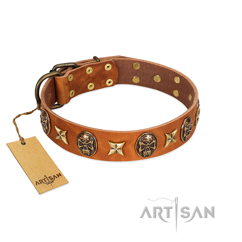 "Rockin' Doggie" FDT Artisan Tan Leather Riesenschnauzer Collar Adorned with Stars and Skulls