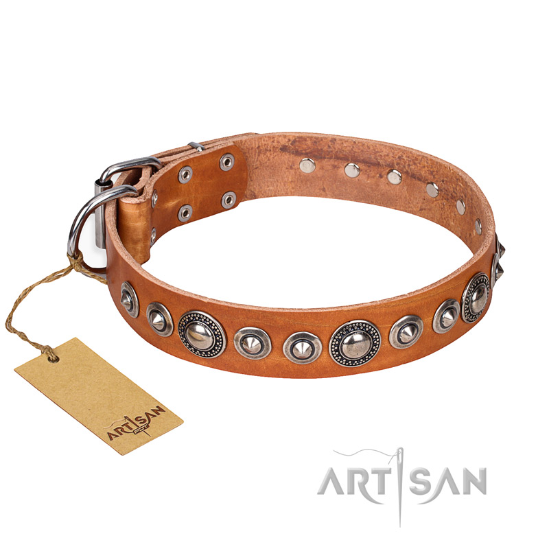 "Daily Chic" FDT Artisan Tan Leather Riesenschnauzer Collar with Decorations