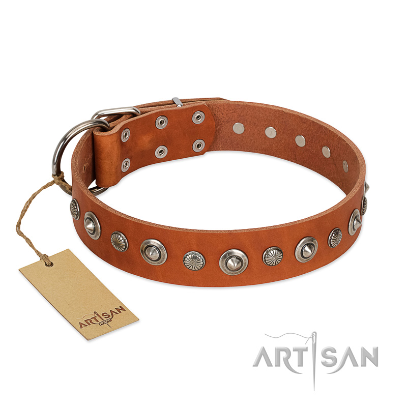"Gorgeous Roundie" FDT Artisan Tan Leather Riesenschnauzer Collar with Chrome-plated Circles
