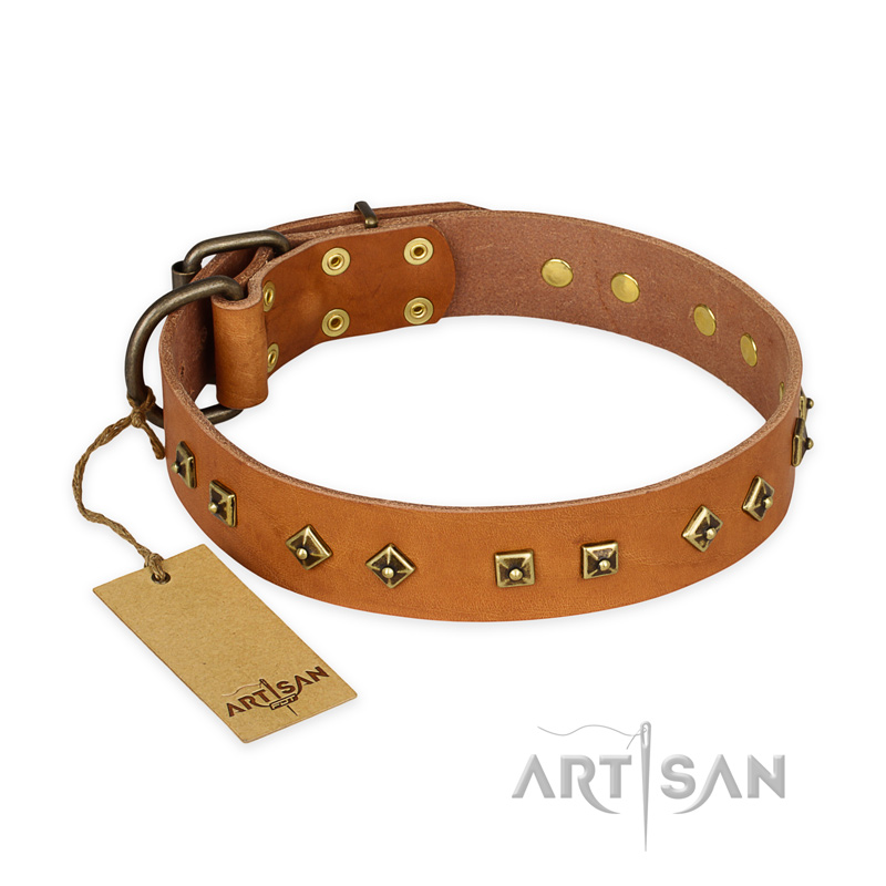 "Autumn Story" FDT Artisan Leather Riesenschnauzer Collar with Old Bronze Look Studs