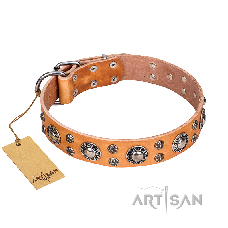 "Extra Sparkle" FDT Artisan Handcrafted Tan Leather Riesenschnauzer Collar