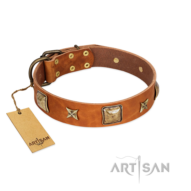 "Celtic Tunes" FDT Artisan Tan Leather Riesenschnauzer Collar Adorned with Stars and Squares