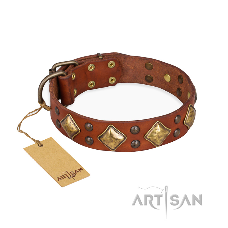 "Flight of Fancy" FDT Artisan Adorned Leather Riesenschnauzer Collar