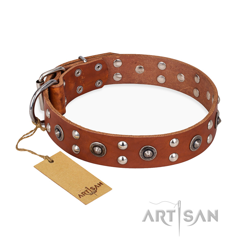 "Silver Elegance" FDT Artisan Decorated Leather Riesenschnauzer Collar with Old Silver-Like Plated Studs and Cones