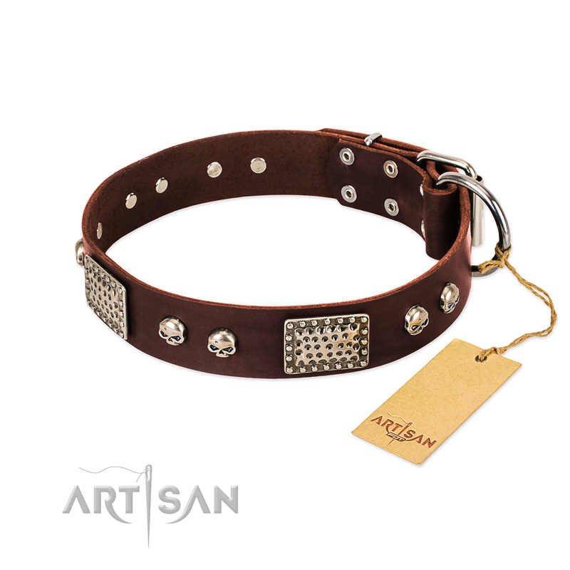 "Pirate Skull" FDT Artisan Brown Leather Riesenschnauzer Collar with Old Silver Look Plates and Skulls