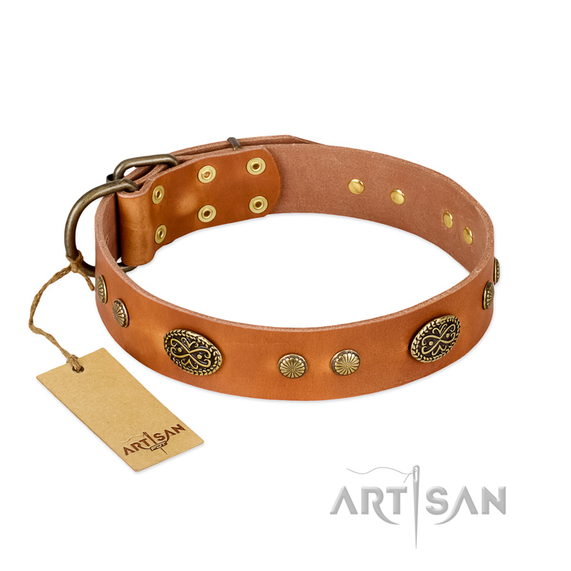 "Sun Beams" FDT Artisan Tan Leather Riesenschnauzer Collar with Decorations