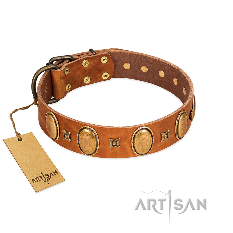 "Glossy Autumn" Designer Handmade FDT Artisan Tan Leather Riesenschnauzer Collar with Ovals and Studs