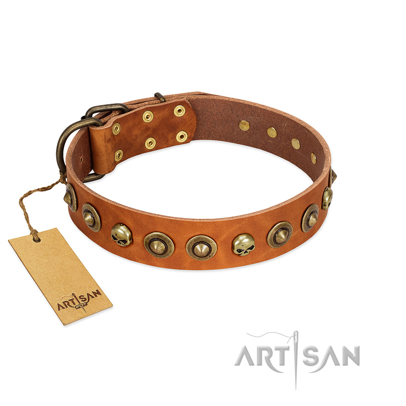 "Prez of the Pack" FDT Artisan Tan Leather Riesenschnauzer Collar with Skulls and Brooches