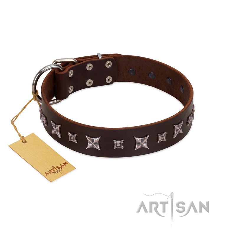 "Stellar Fairy " FDT Artisan Brown Leather Riesenschnauzer Collar with Chrome-plated Star-like Decorations