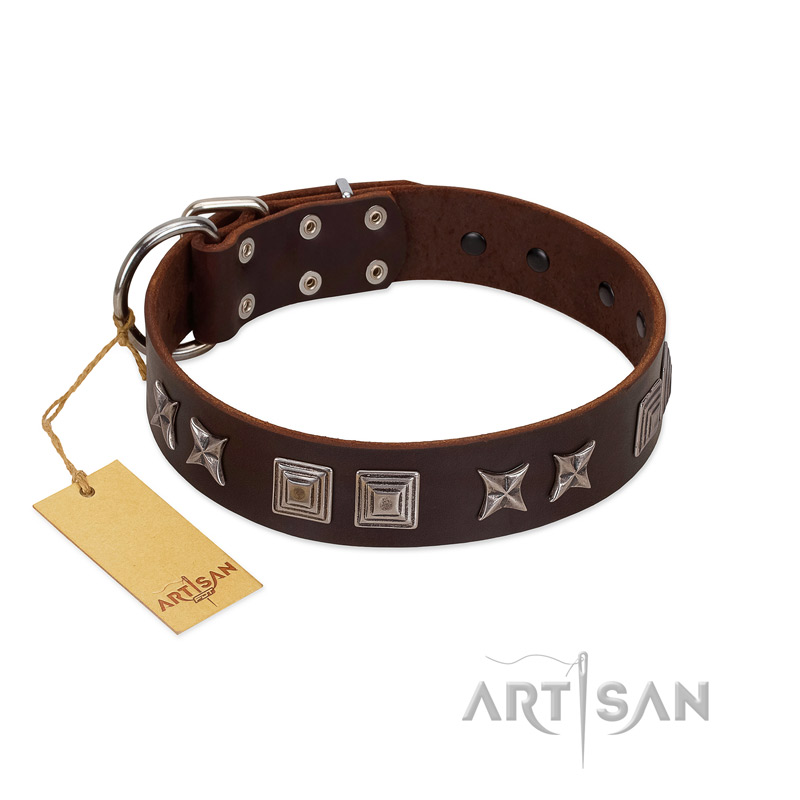 "Needle Stories" Modern FDT Artisan Brown Leather Riesenschnauzer Collar with Square Engraved Plates and Four-Point Stars