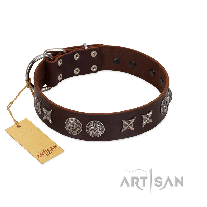"Silver Sunset" Designer Handmade FDT Artisan Brown Leather Riesenschnauzer Collar