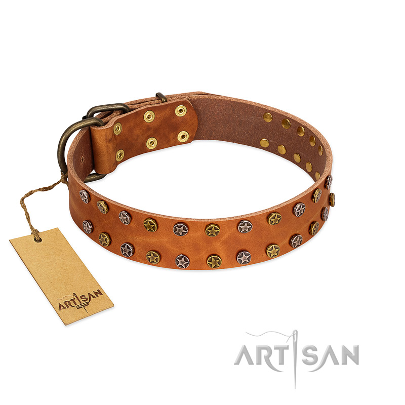 "Walk and Shine" FDT Artisan Tan Leather Riesenschnauzer Collar with Antiqued Studs