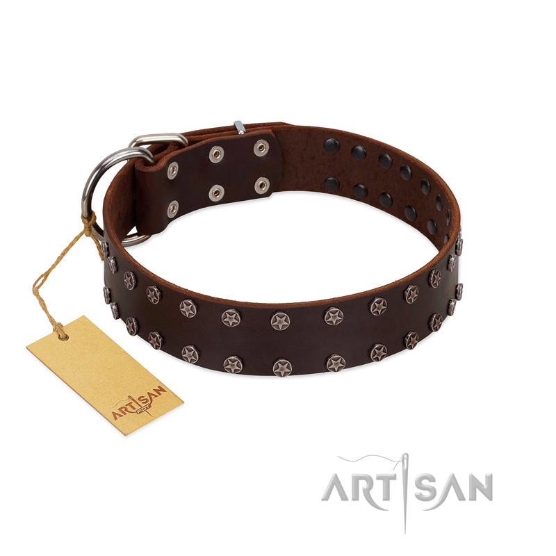 "Star Party" Handmade FDT Artisan Brown Leather Riesenschnauzer Collar with Silver-Like Studs