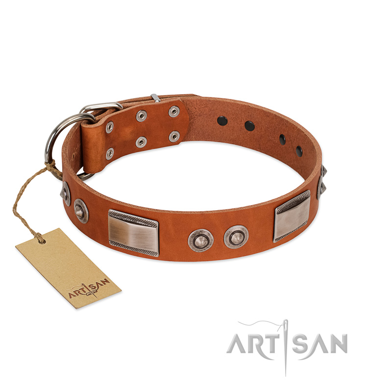 "Pawsy Glossy" FDT Artisan Exclusive Tan Leather Riesenschnauzer Collar 1 1/2 inch (40 mm) wide