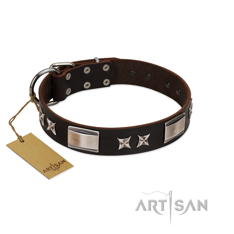 "Satin Beauts" FDT Artisan Brown Leather Riesenschnauzer Collar with Stars and Plates