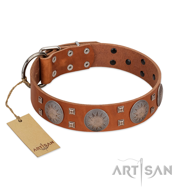 "Sun Rise Noon" FDT Artisan Tan Leather Riesenschnauzer Collar with Unique Design