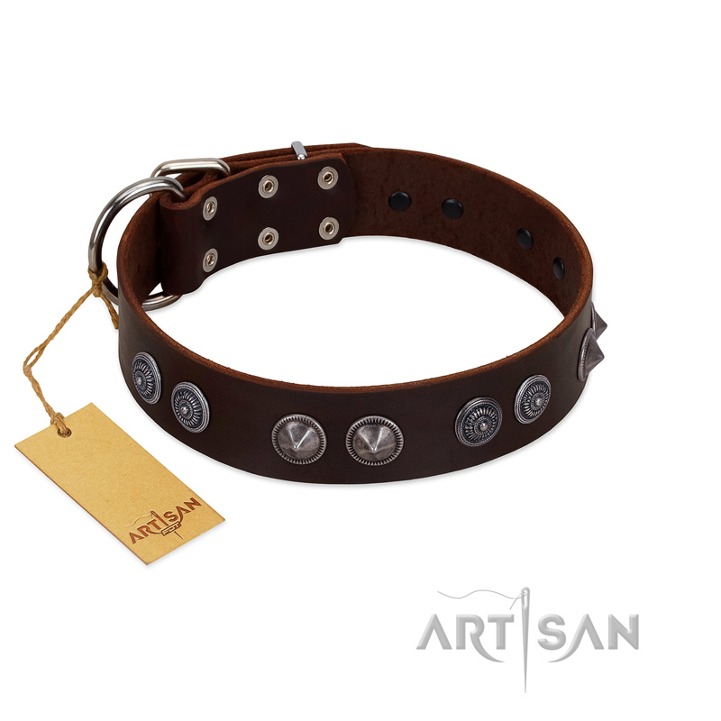 "King Arthur" FDT Artisan Brown Leather Riesenschnauzer Collar with Spiky Plates
