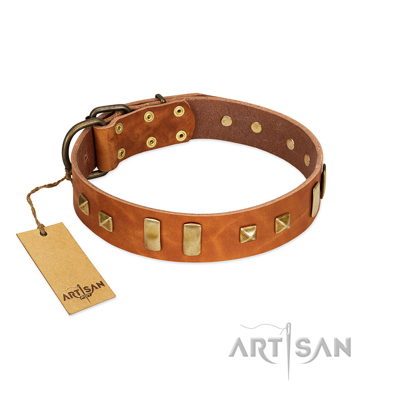 "Sand of Time" FDT Artisan Tan Leather Riesenschnauzer Collar with Old Bronze-like Studs and Plates