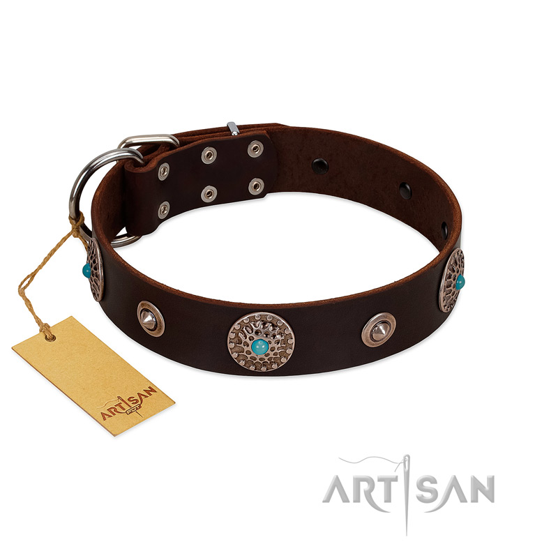 "Magic Stones" FDT Artisan Brown Leather Riesenschnauzer Collar with Chrome Plated Brooches and Studs