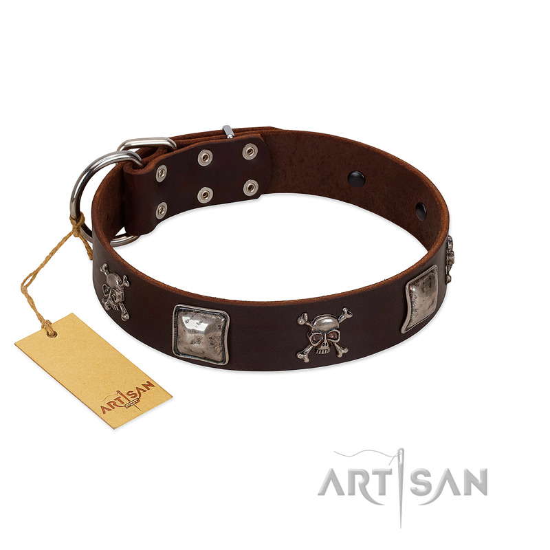 "Nut-Brown Finery" Embellished FDT Artisan Brown Leather Riesenschnauzer Collar with Chrome Plated Crossbones and Plates