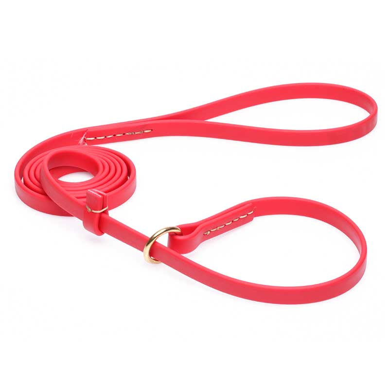 Durable Red Biothane Riesenschnauzer Leash and Collar Combo