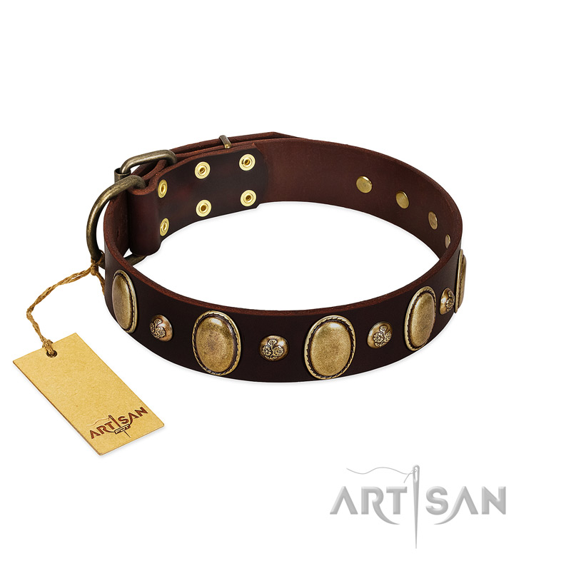 "Natural Grace" FDT Artisan Handmade Decorated Brown Leather Riesenschnauzer Collar