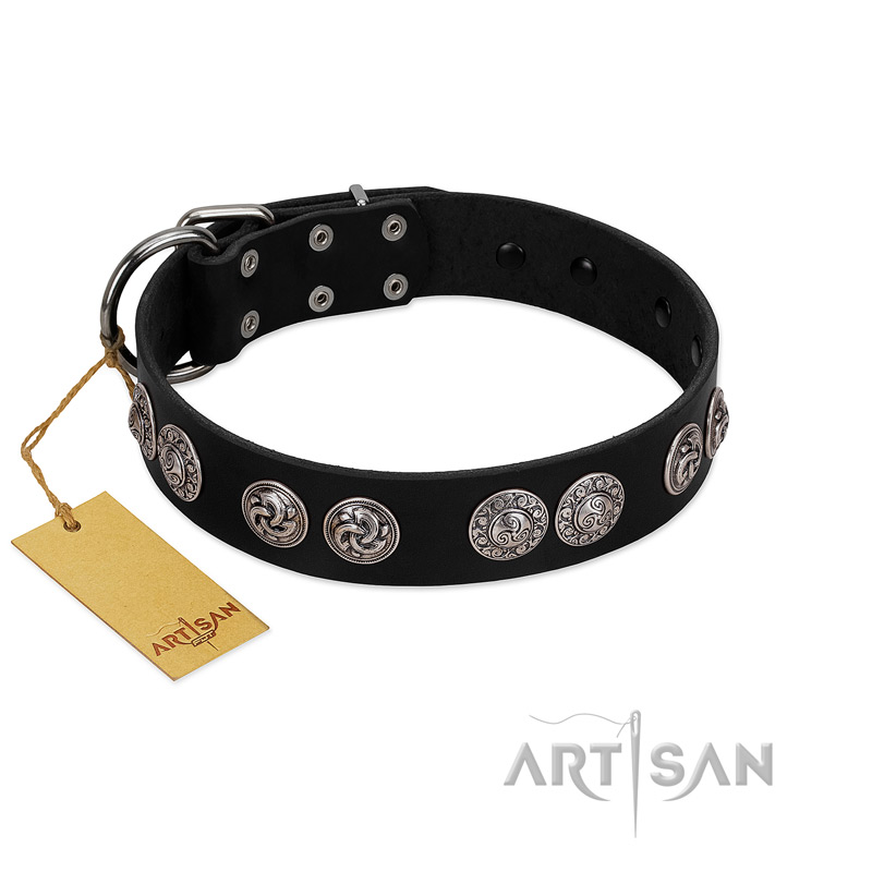 "Magic Amulete" Handcrafted FDT Artisan Black Leather Riesenschnauzer Collar with Chrome-Plated Shields