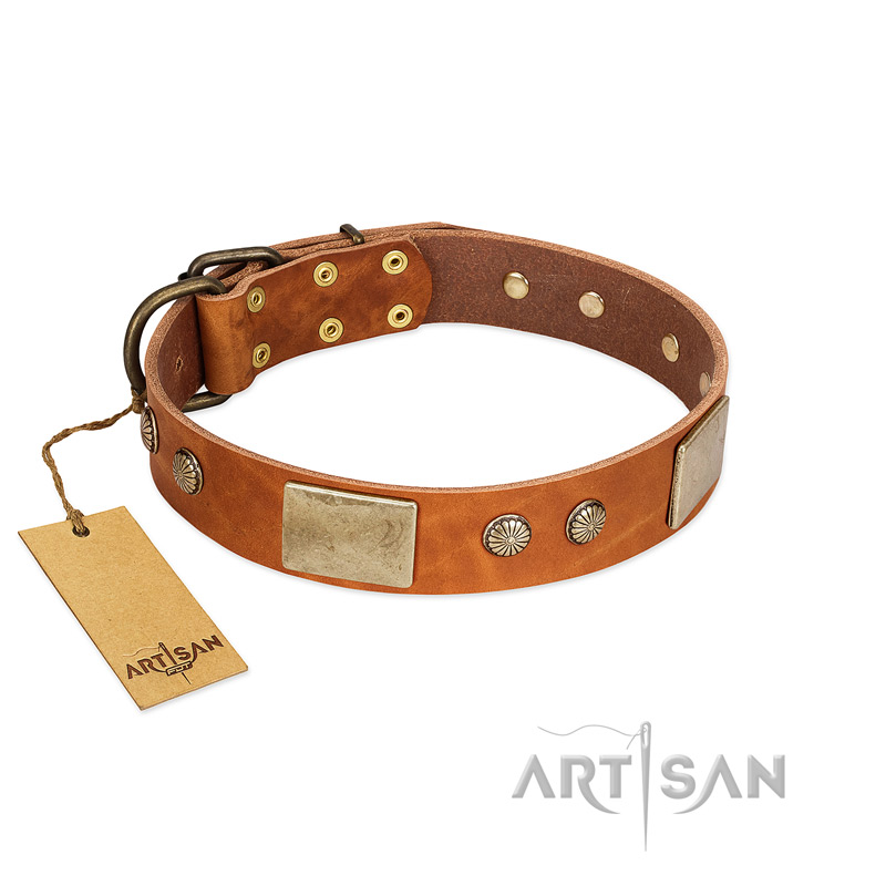 "Ancient Treasures" FDT Artisan Tan Leather Riesenschnauzer Collar with Antiqued Plates and Studs
