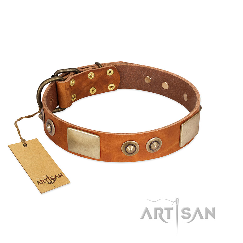 "Perfect Blend" FDT Artisan Tan Leather Riesenschnauzer Collar 1 1/2 inch (40 mm) wide