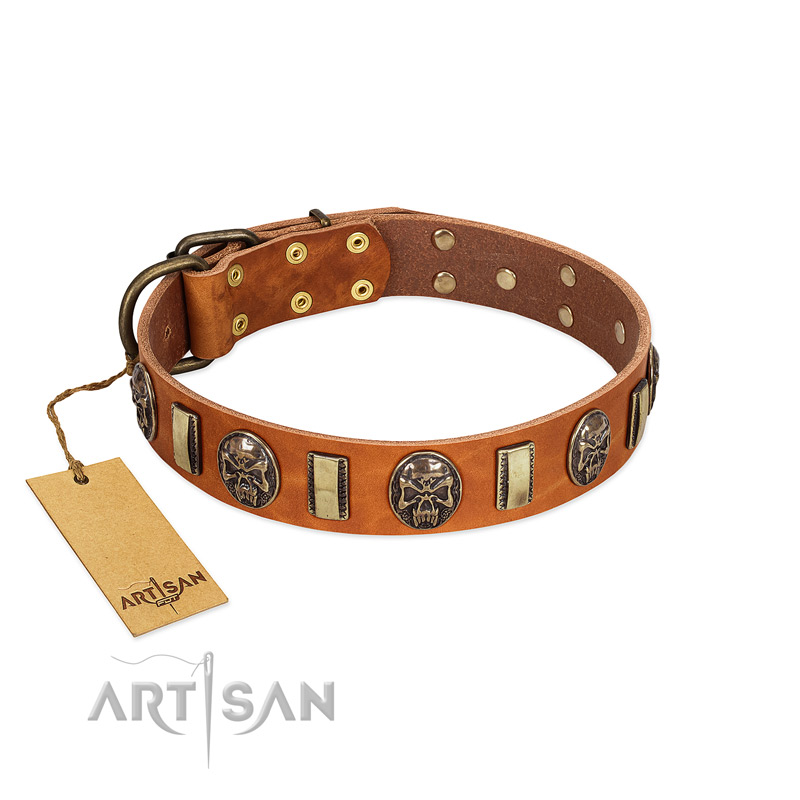 "Strike of Rock" FDT Artisan Tan Leather Riesenschnauzer Collar with Plates and Medallions with Skulls