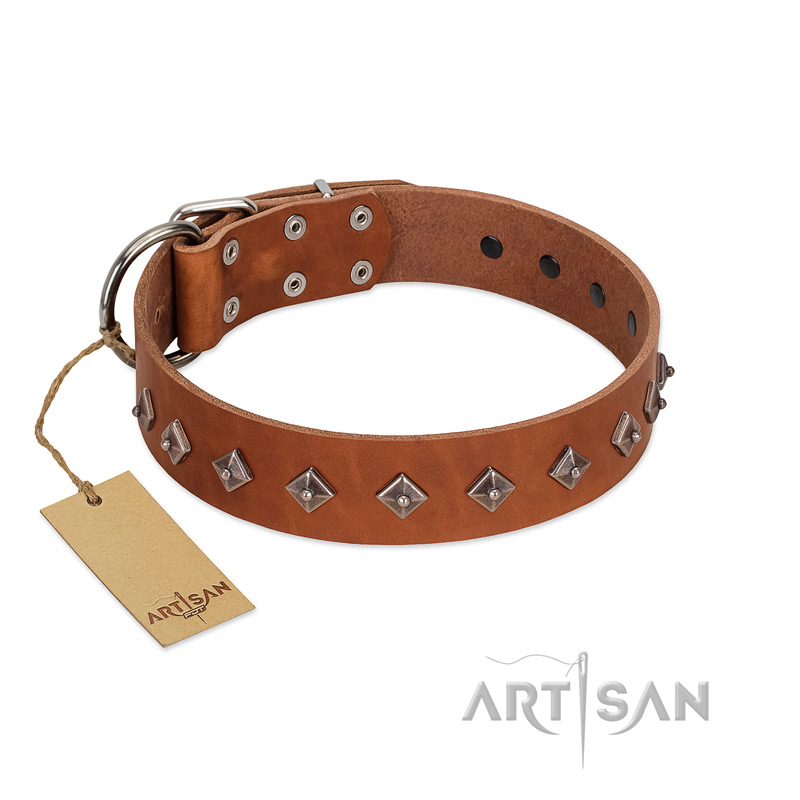 "Broadway" Handmade FDT Artisan Tan Leather Riesenschnauzer Collar with Dotted Pyramids
