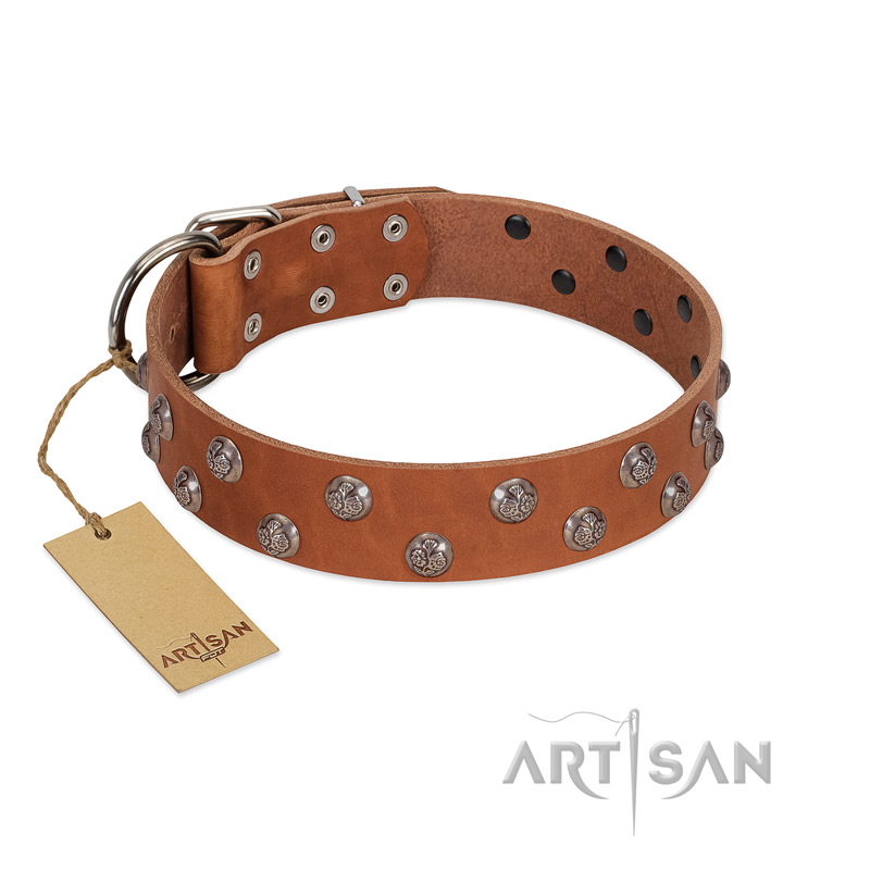 "Waltz of the Flowers" Handmade FDT Artisan Tan Leather Riesenschnauzer Collar with Chrome-plated Engraved Studs