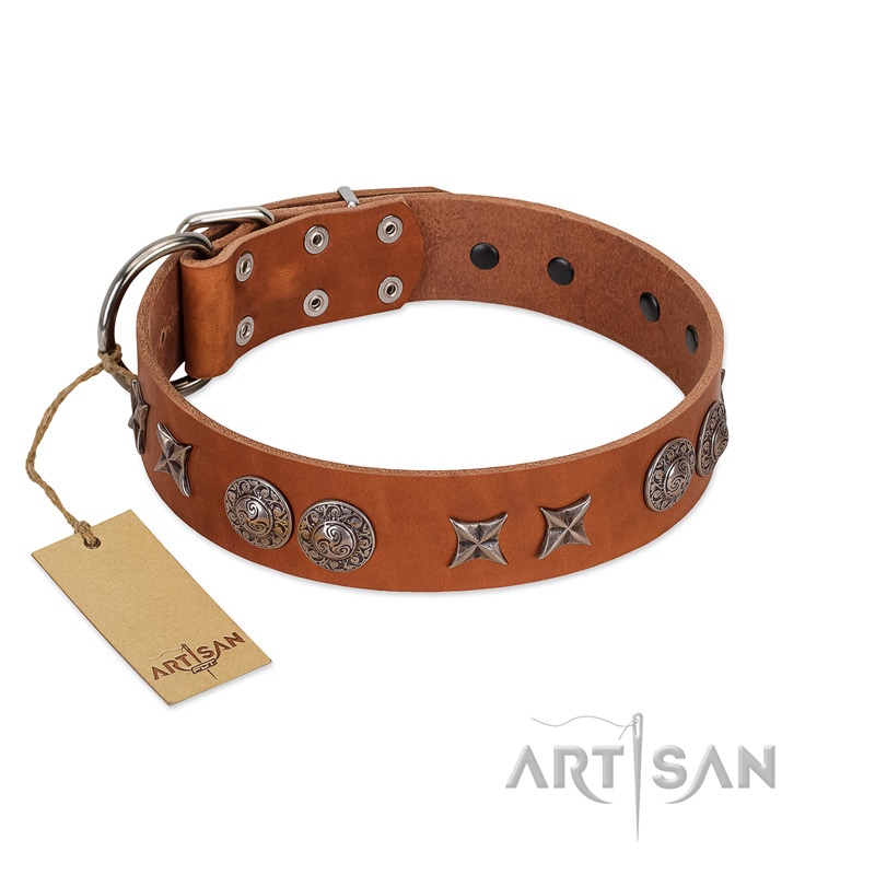 "Splendid Armor" Premium Quality FDT Artisan Tan Designer Riesenschnauzer Collar with Shields and Stars