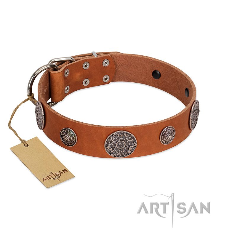 "Foxy Nature" FDT Artisan Tan Leather Riesenschnauzer Collar with Chrome Plated Brooches