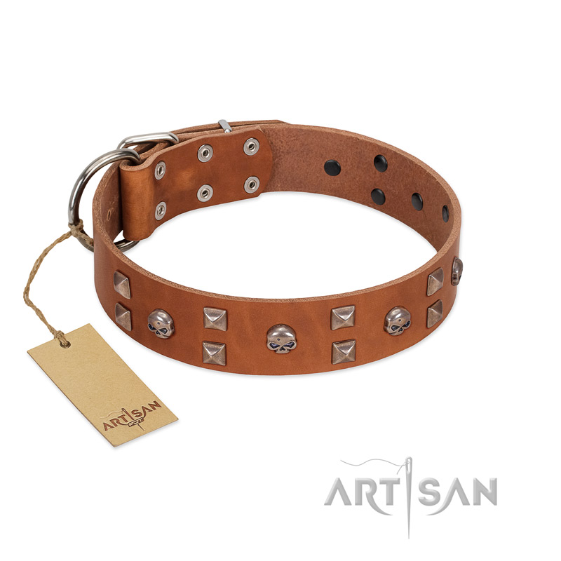 "Enchanted Skulls" FDT Artisan Tan Leather Riesenschnauzer Collar with Chrome Plated Skulls
