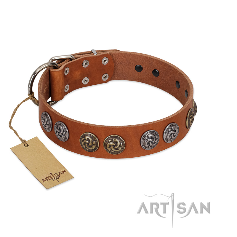 "Luxurious Life" Premium Quality FDT Artisan Tan Leather Riesenschnauzer Collar with Round Adornments