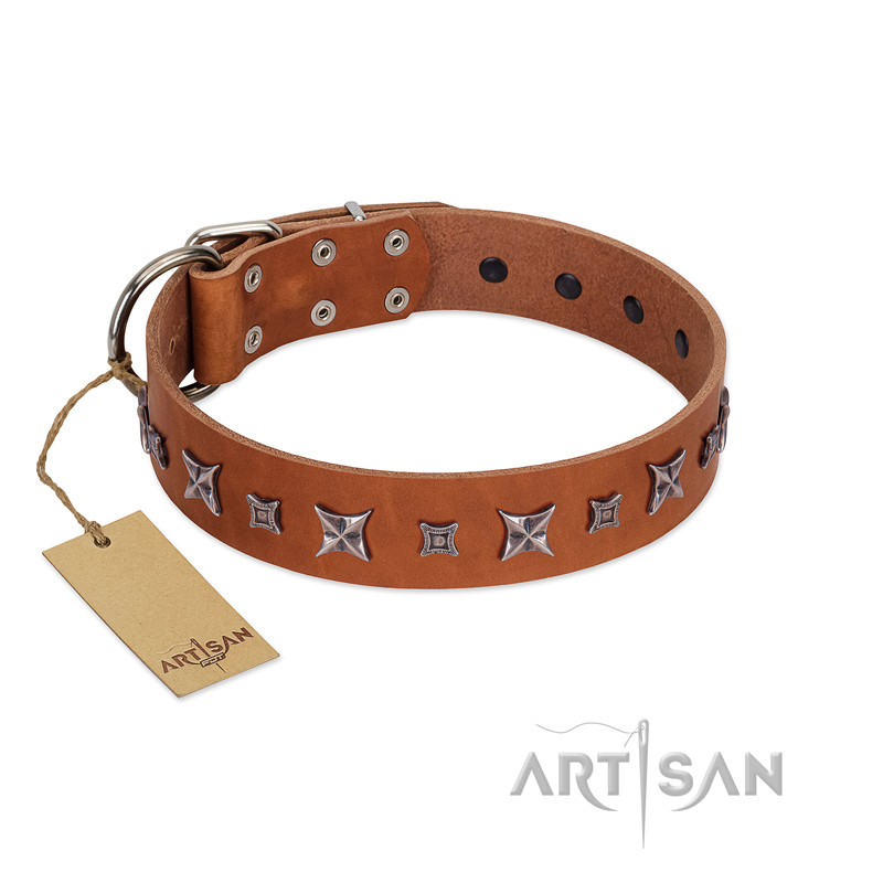 "Star Shine" Exclusive FDT Artisan Tan Leather Riesenschnauzer Collar with Silver-Like Adornments